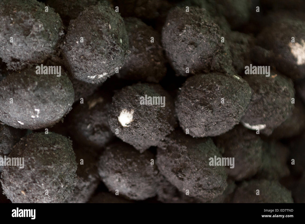 Ash eggs, market, Phnom Penh, Cambodia, Indochina, Southeast Asia, Asia
