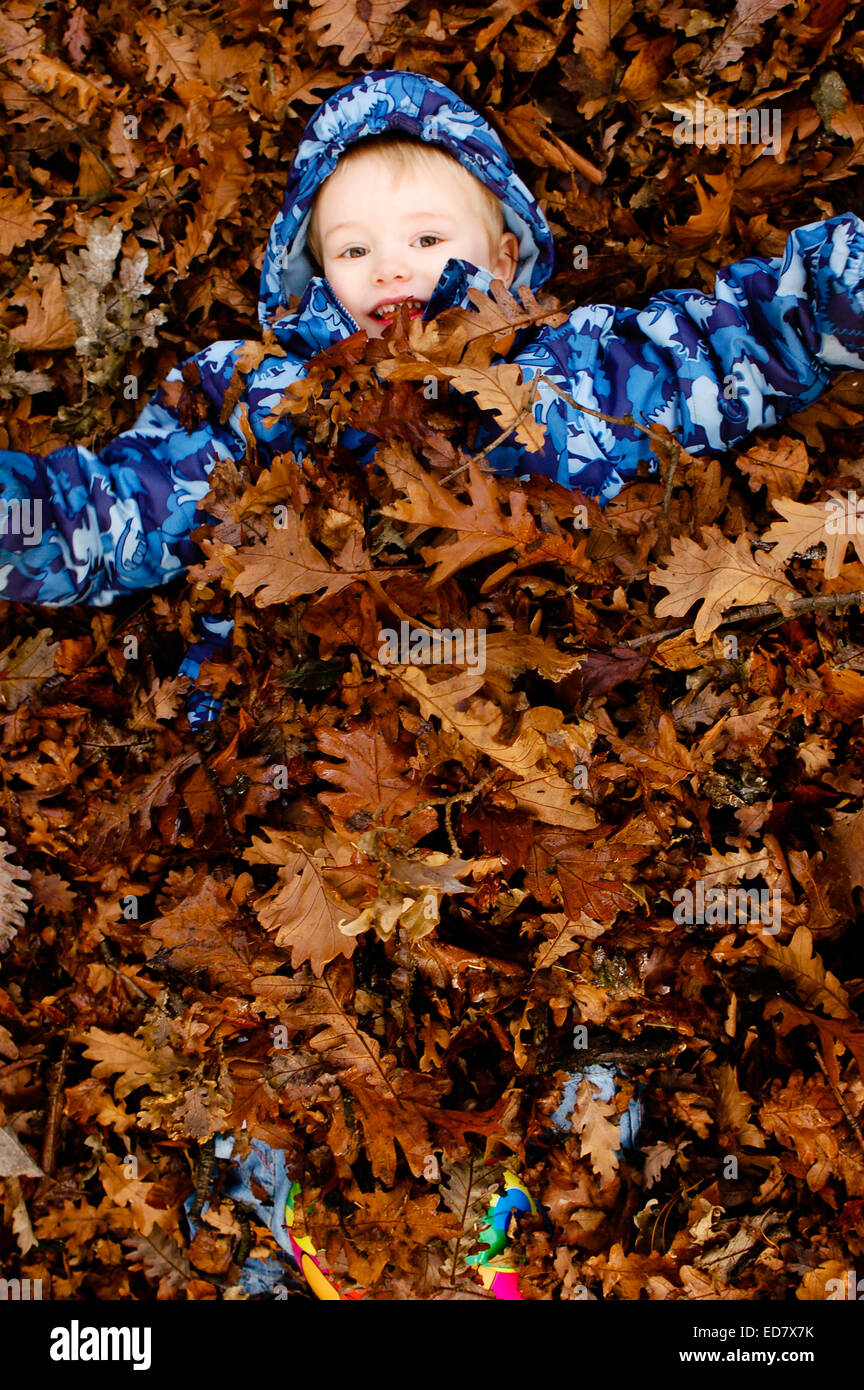 Boy covered in leaves in autumn having fun in park Stock Photo - Alamy