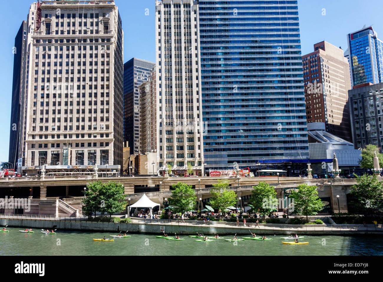 Chicago Illinois,Loop District,Chicago River,kayaks,kayakers,high rise,skyscraper buildings,IL140906121 Stock Photo