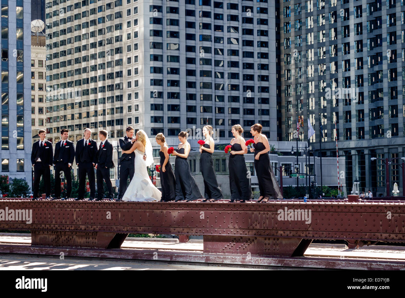 Chicago Illinois,North Wabash Avenue Bridge,wedding party,groom,bride,groomsmen,bridesmaids,posing,downtown,skyscrapers,buildings,IL140906129 Stock Photo