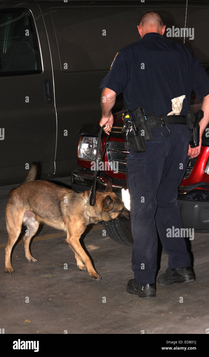 Menomonee Falls Police K-9 searching for drugs on a car in a parking garage Stock Photo