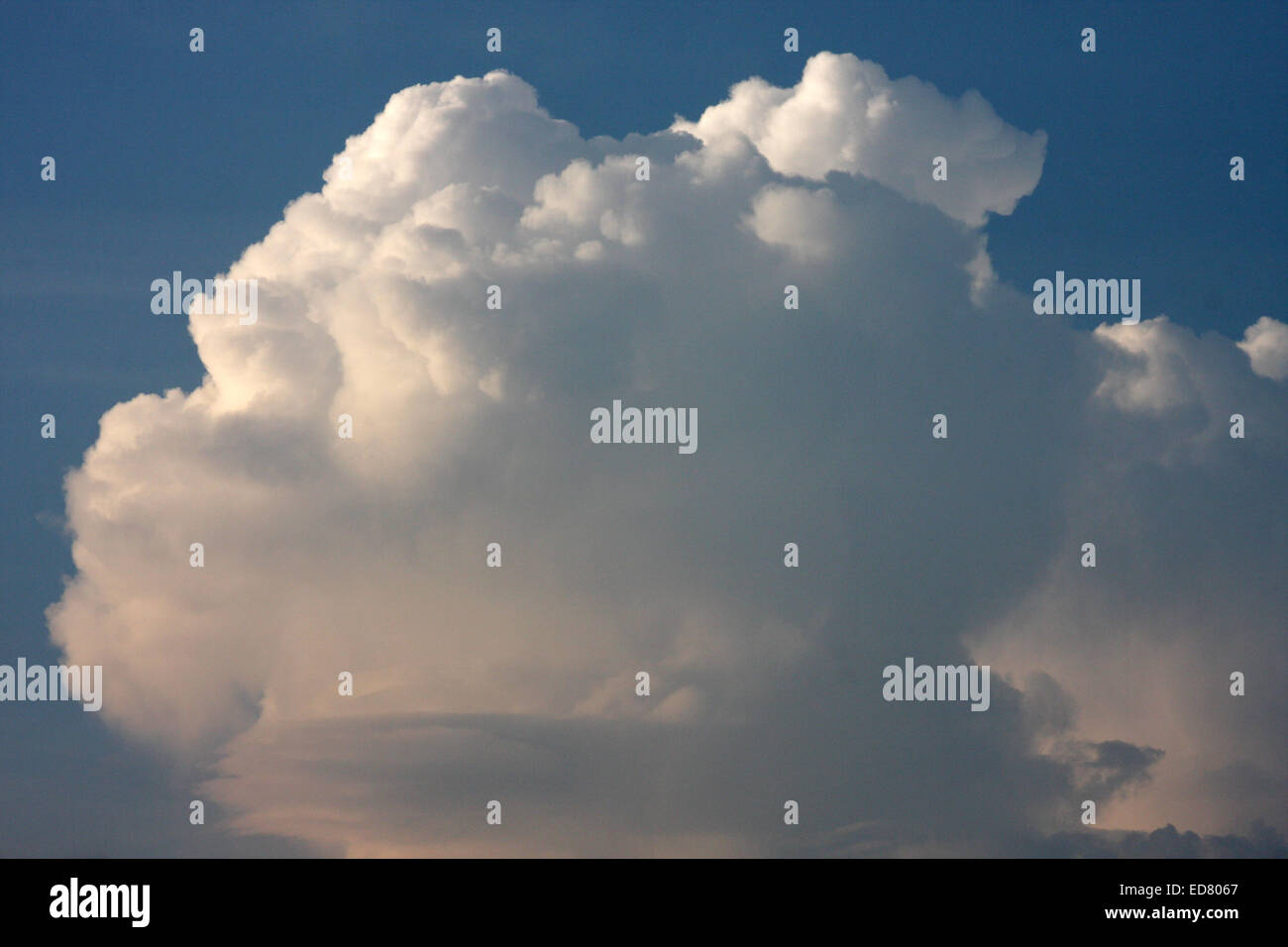 Cumulous Clouds of an approaching summer thunderstorm Stock Photo