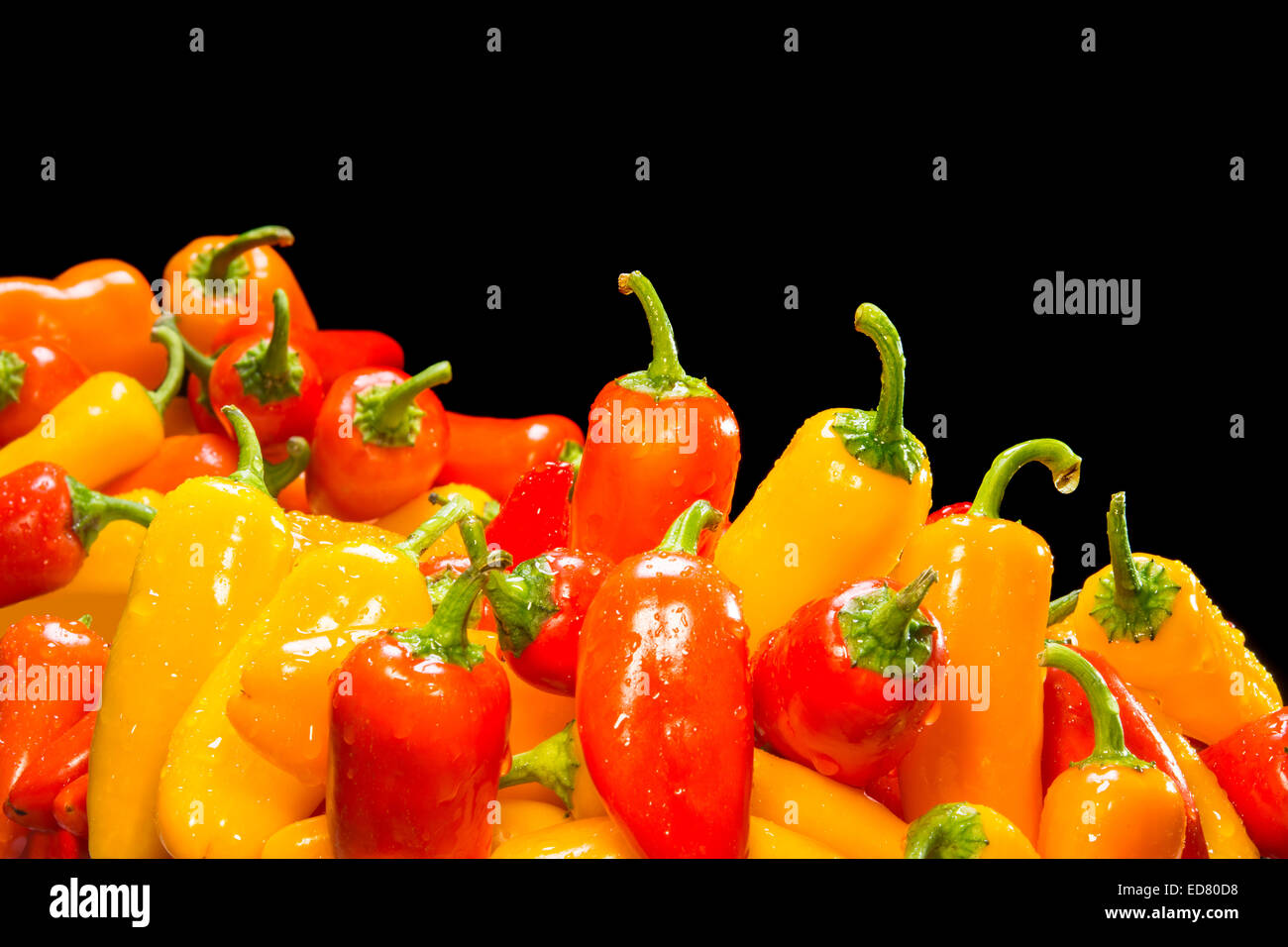 Selection of fresh, ripe red, yellow and orange peppers framed against a black background for placement of copy. Stock Photo