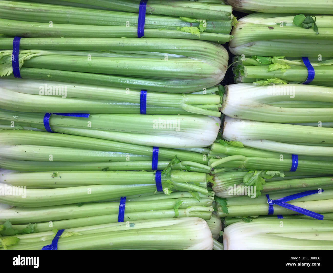 Fresh celery stacked beautifully at a farmers market produce stand Stock Photo