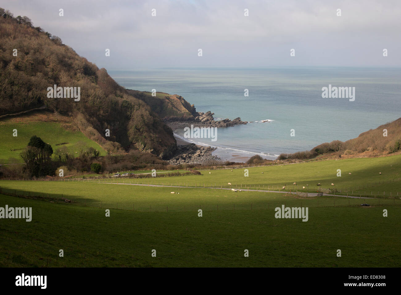 Lee Bay, near Lynton, north Devon, England, UK Stock Photo Alamy