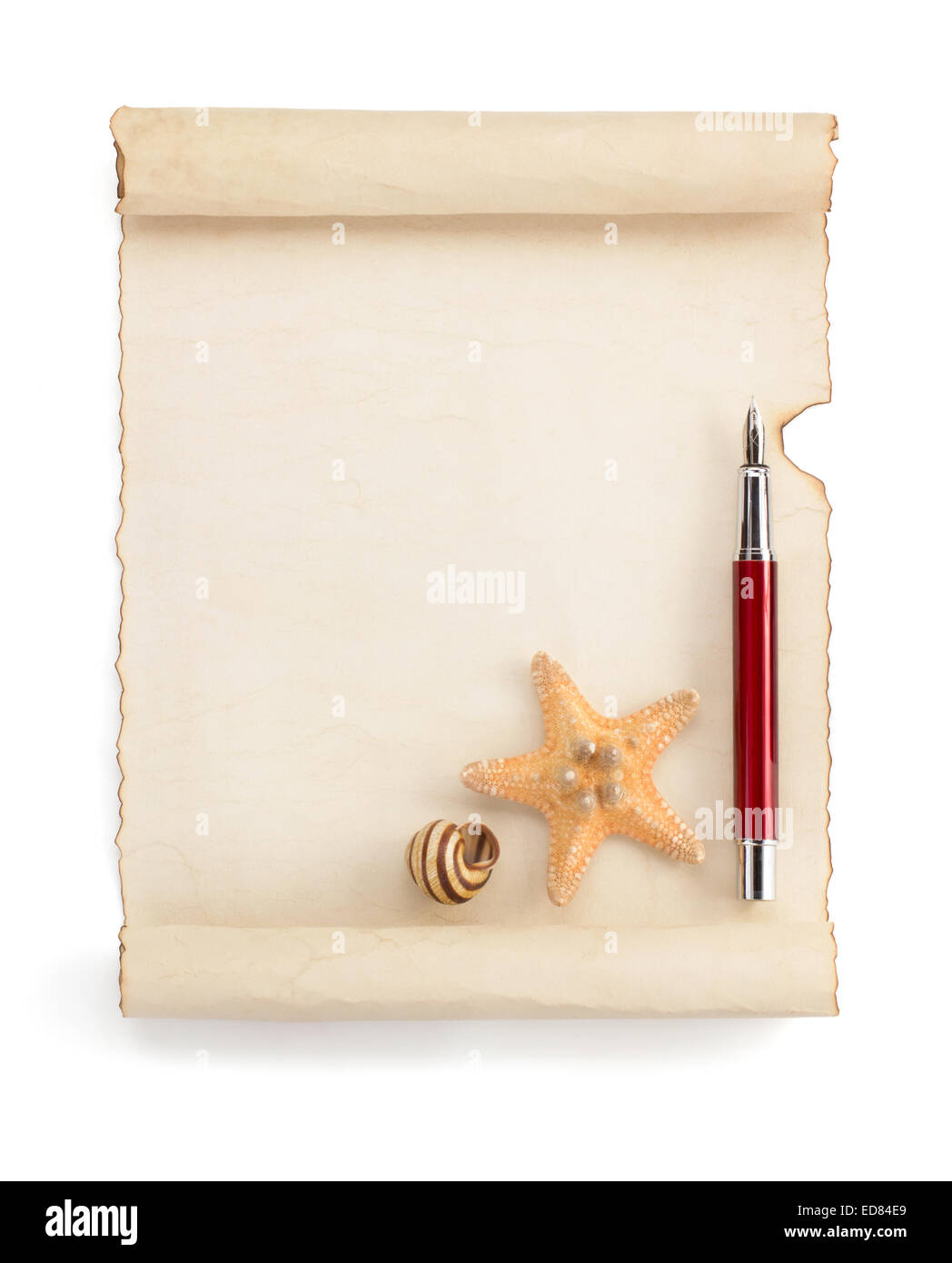 seashell and sea concept isolated on white background Stock Photo - Alamy