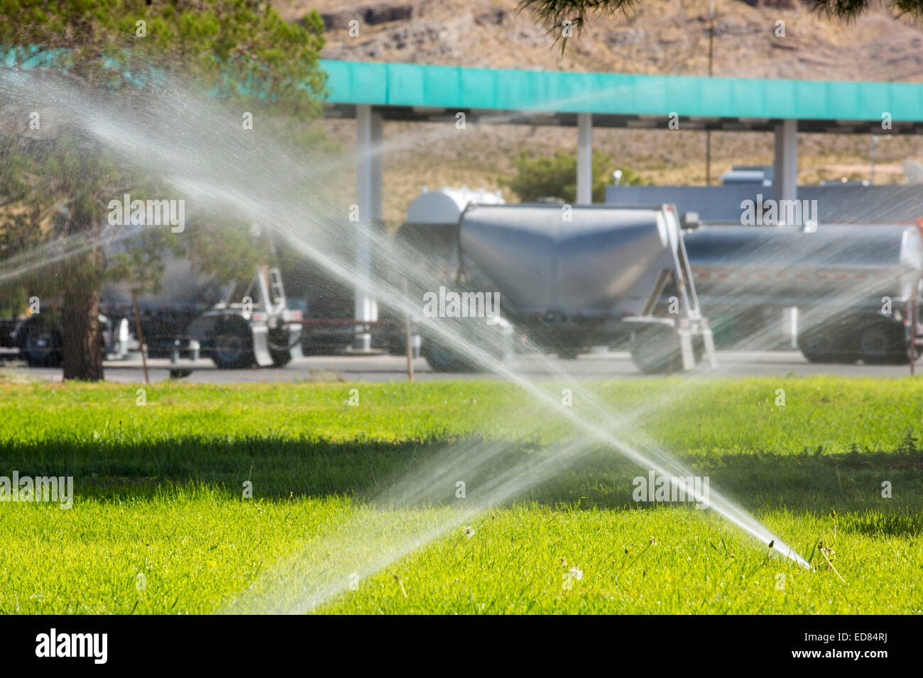 Watering grass lawns in Nevada which is in extreme drought, USA Stock