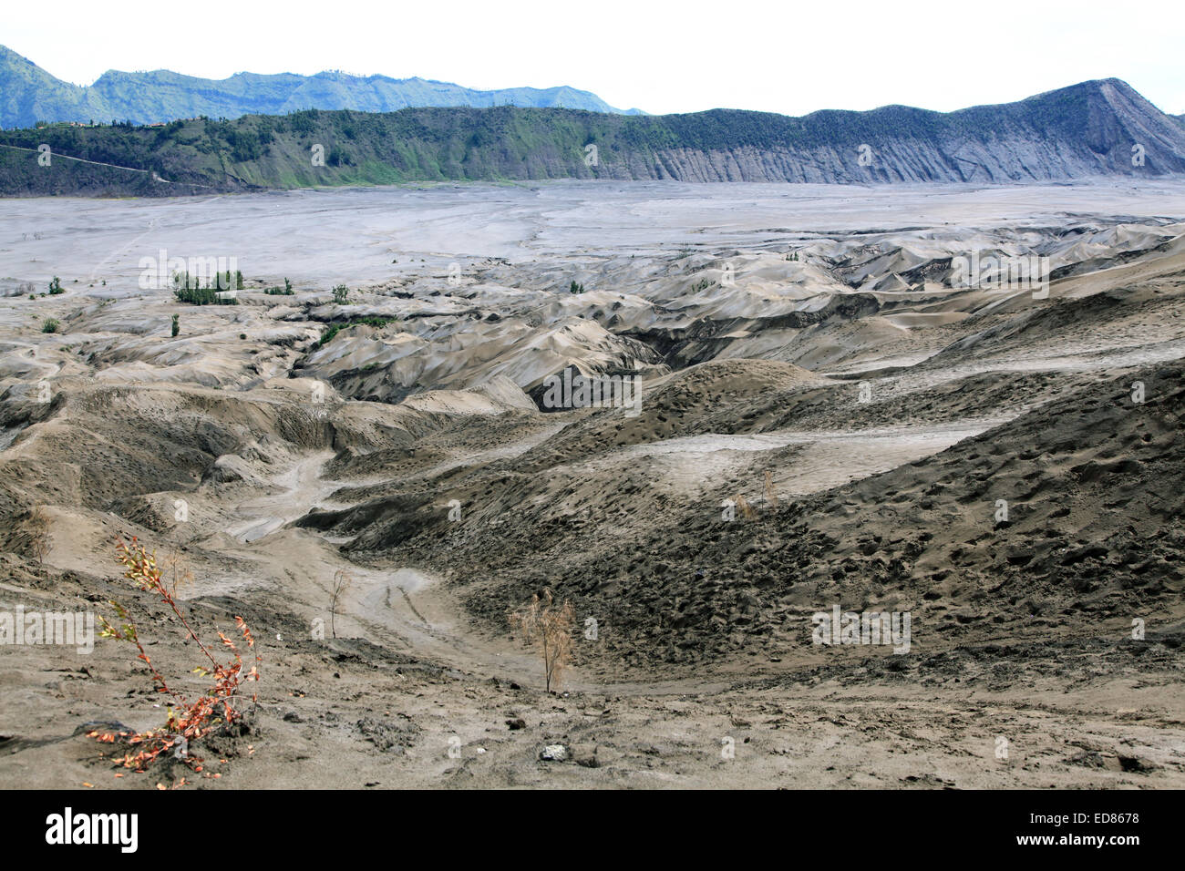 Desert Sand Dune Mountain Landscape of Bromo Volcano crater, East Java