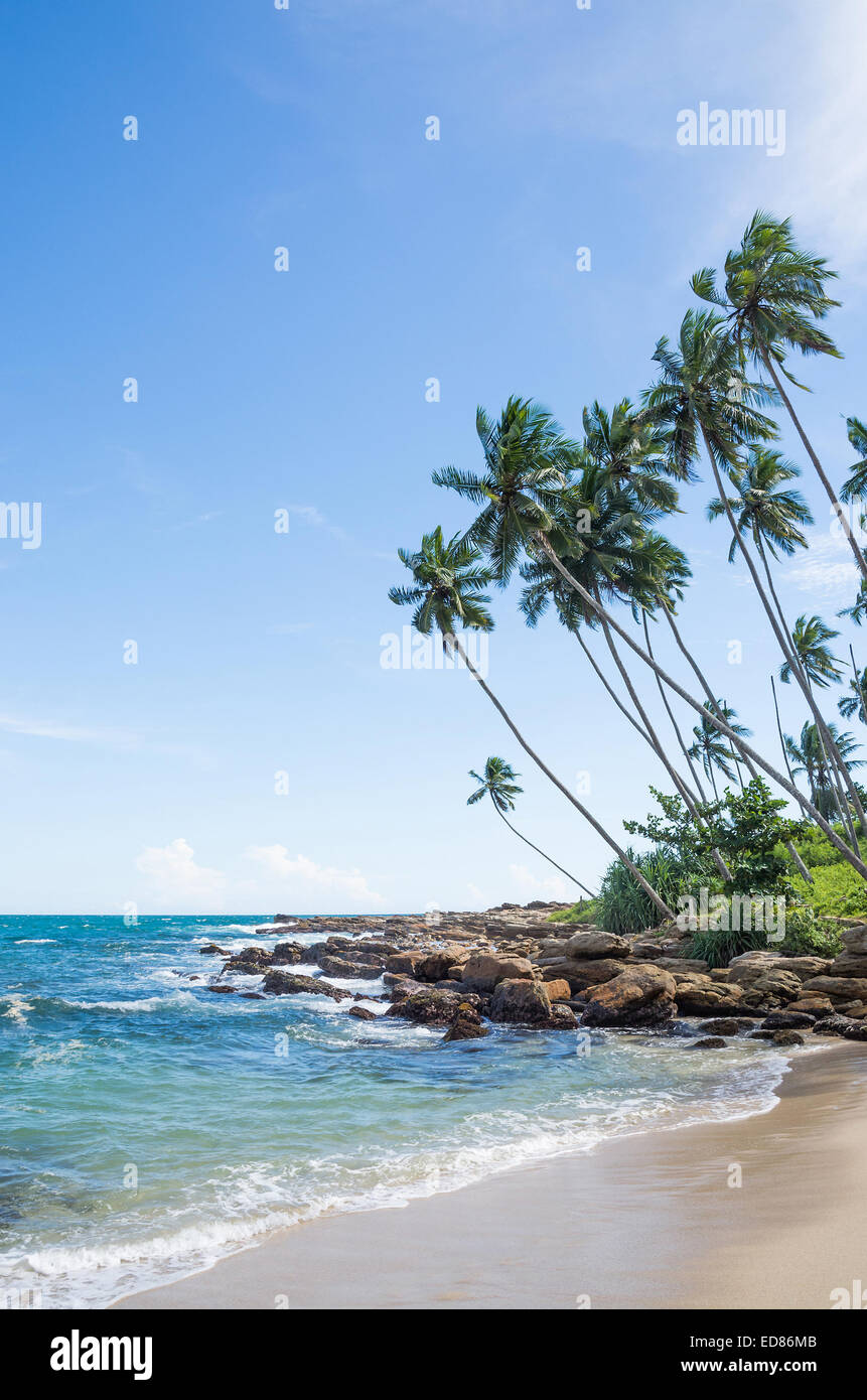 Tropical beach with rocks, coconut palm trees, sandy beach and ocean. Rocky Point, Tangalle, Southern Province, Sri Lanka, Asia. Stock Photo