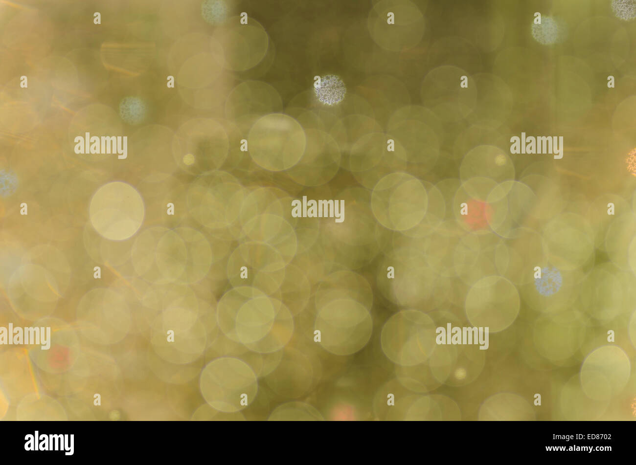 Abstract circular bokeh warm green background From series Abstract and nature Stock Photo