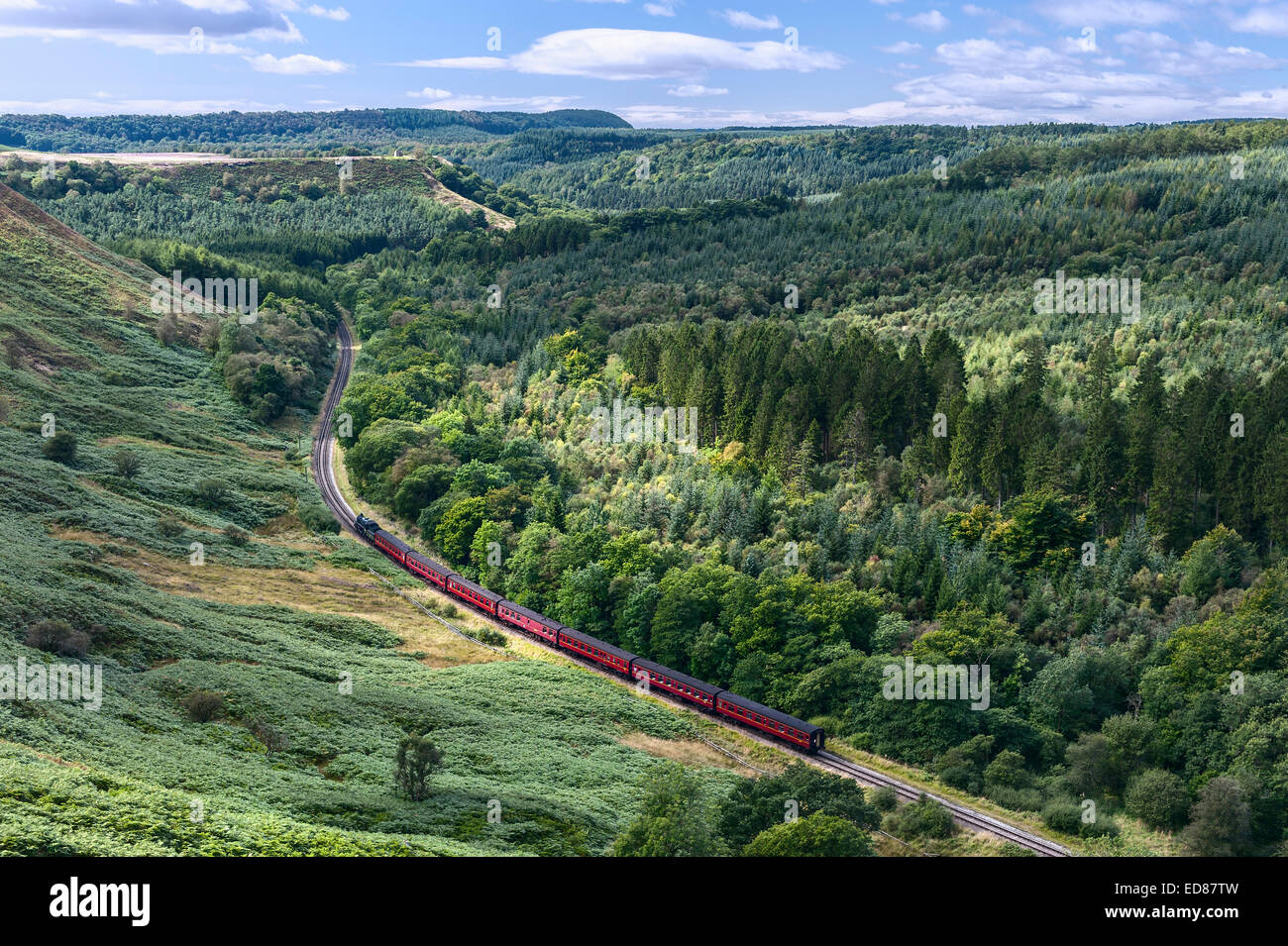 North Yorkshire Moors vintage steam train makes its way through the moors on a fine sunny morning in summer in Yorkshire, UK. Stock Photo