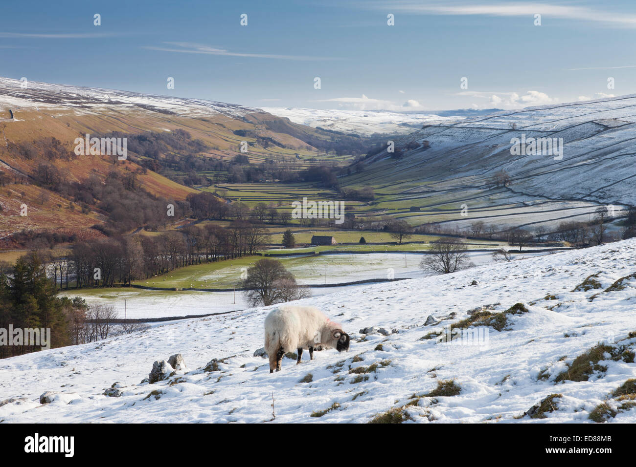 Littondale under snow in The Yorkshire Dales, England. Stock Photo