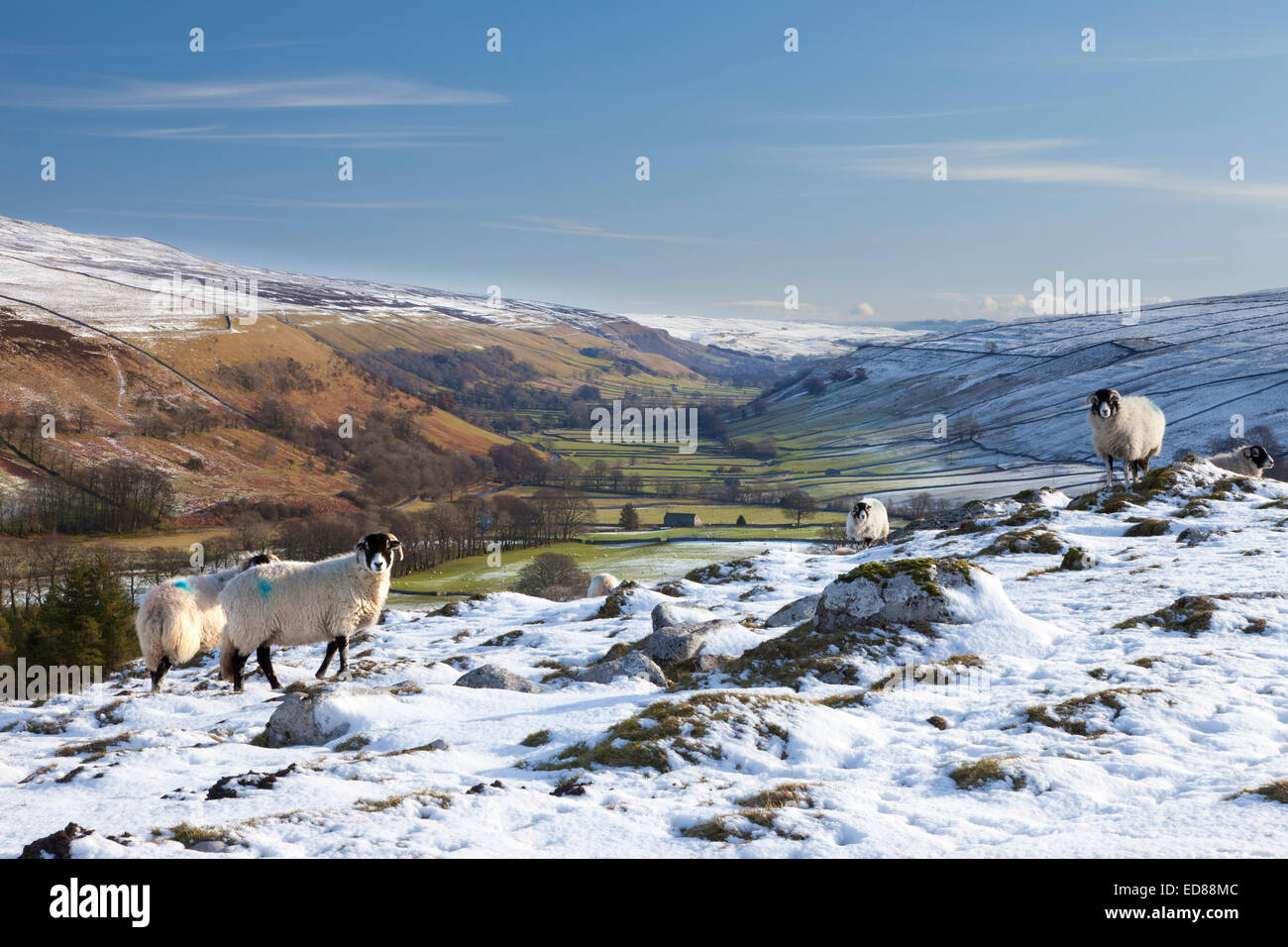 Littondale under snow in The Yorkshire Dales, England. Stock Photo