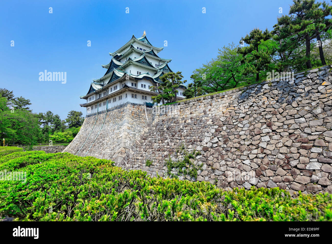 Nagoya castle atop with golden tiger fish head pair called 'King Cha Chi', Japan Stock Photo