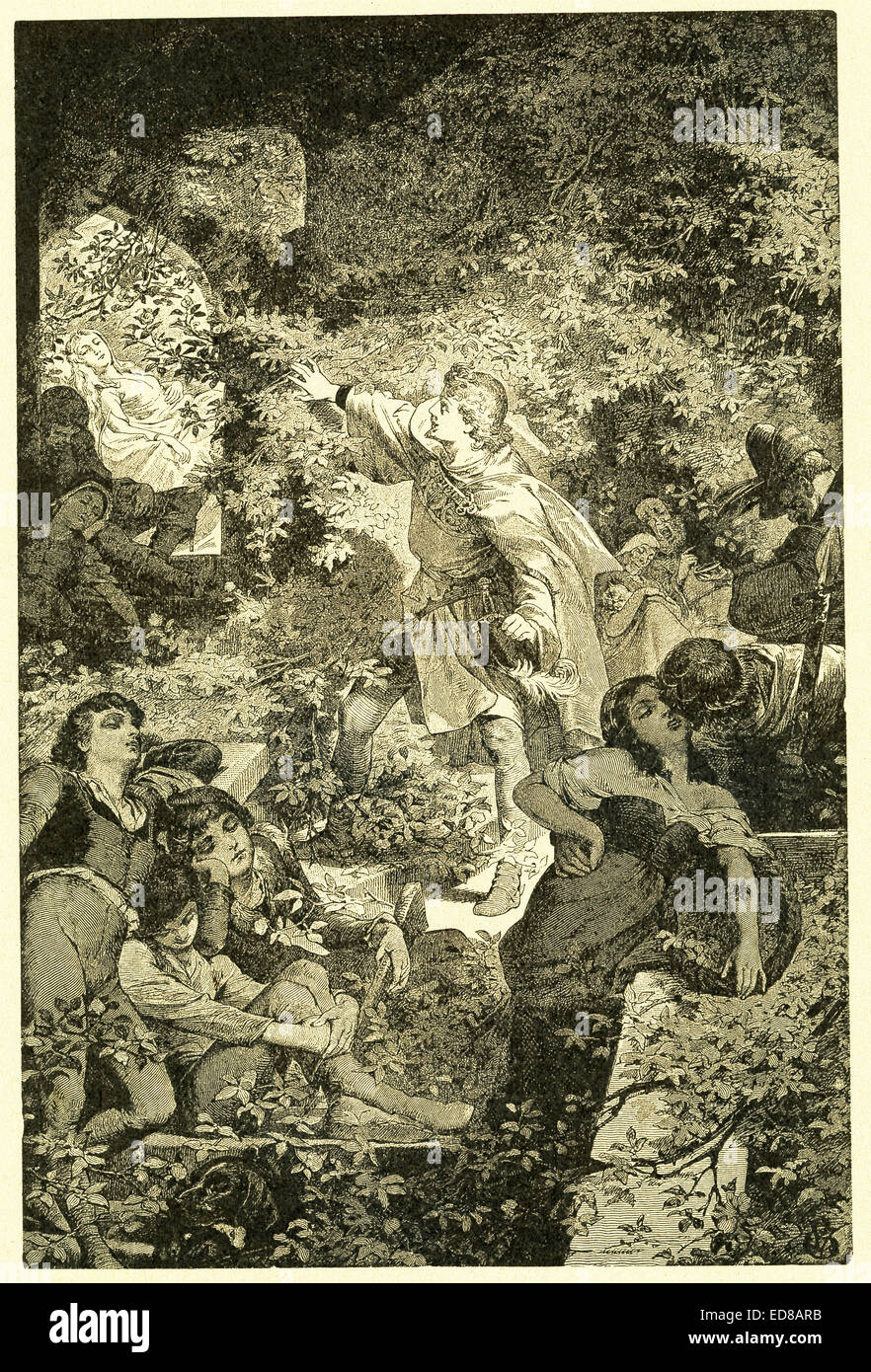 In 1812, the Grimm brothers, Jacob and Wilhelm, published Children and Household Tales, a collection German fairy tales. This illustration accompanied the tale 'Sleeping Beauty' and shows the princess Rosamond asleep and being seen by the prince, who will kiss her and wake her form her 100-year sleep. This image is from Grimms Eventyr (Grimm's Fairy Tales) by Carl Ewald, published in 1922. The frontispiece has the illustrations by Philip Grot Johann and R. Leinweber. Johann was a well-known German illustrator and did pieces for Goethe. Stock Photo