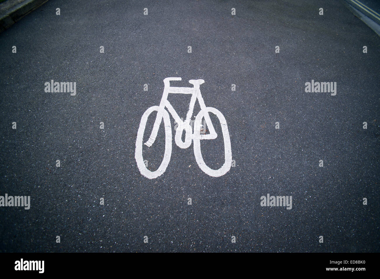 cycle lane symbol painted on a tarmac road Stock Photo