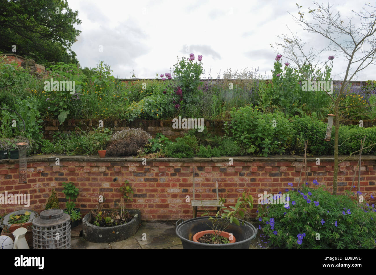 English Herb Garden in a Country Cottage Garden in Cold Ash near