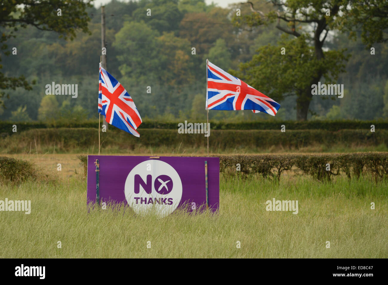 Scottish Independence - Purple 'No Thanks' Scottish Independence Referendum sign decorated with Union Jack Flags in Stirlingshire field 2014 Stock Photo