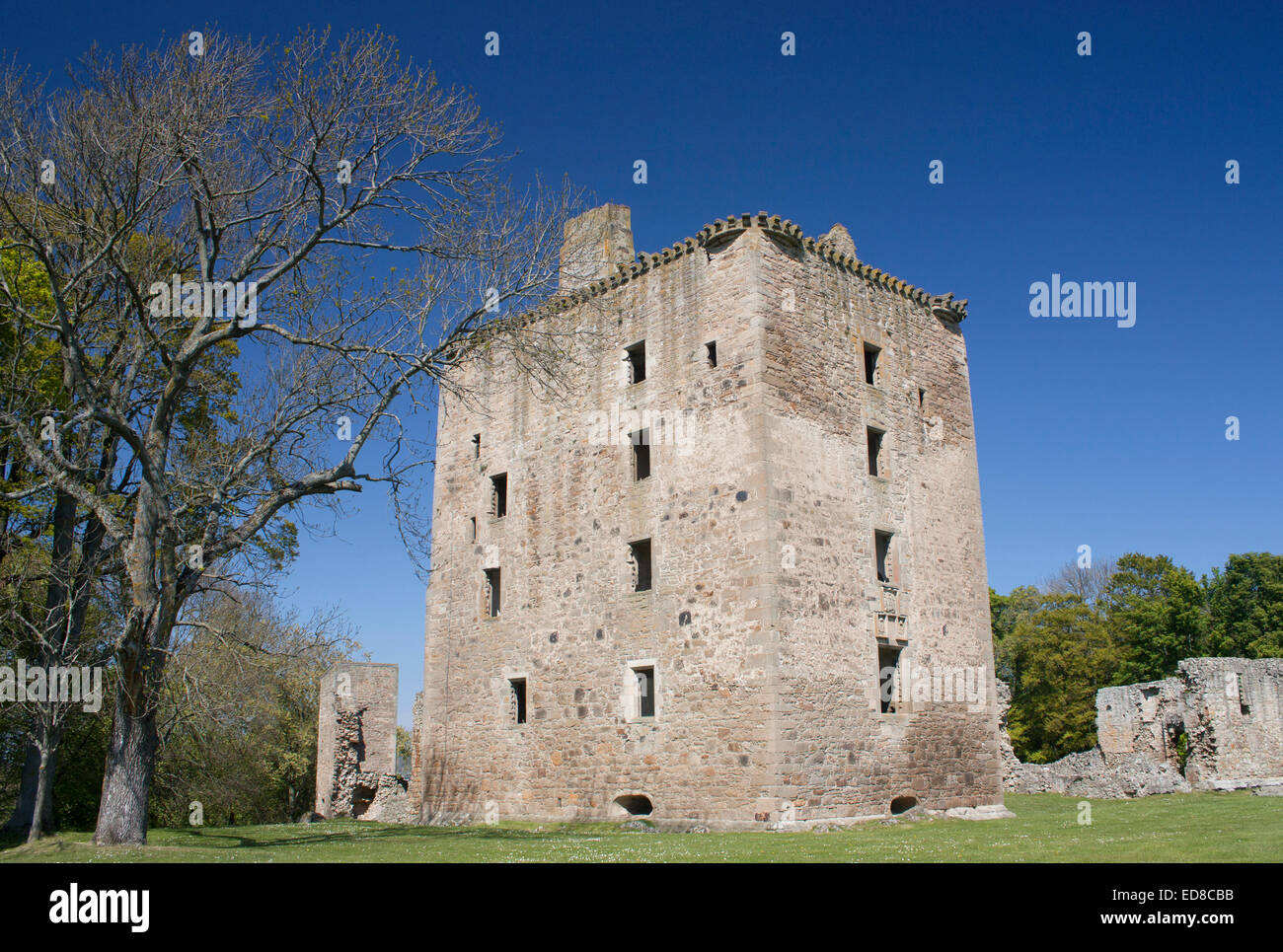 United Kingdom, Scotland, Elgin, Moray, Spynie Castle (Palace) Stock Photo