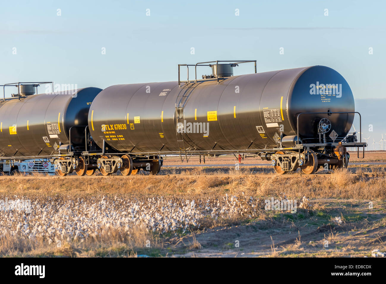 cotton field with oil tanker rail car in background Stock Photo Alamy