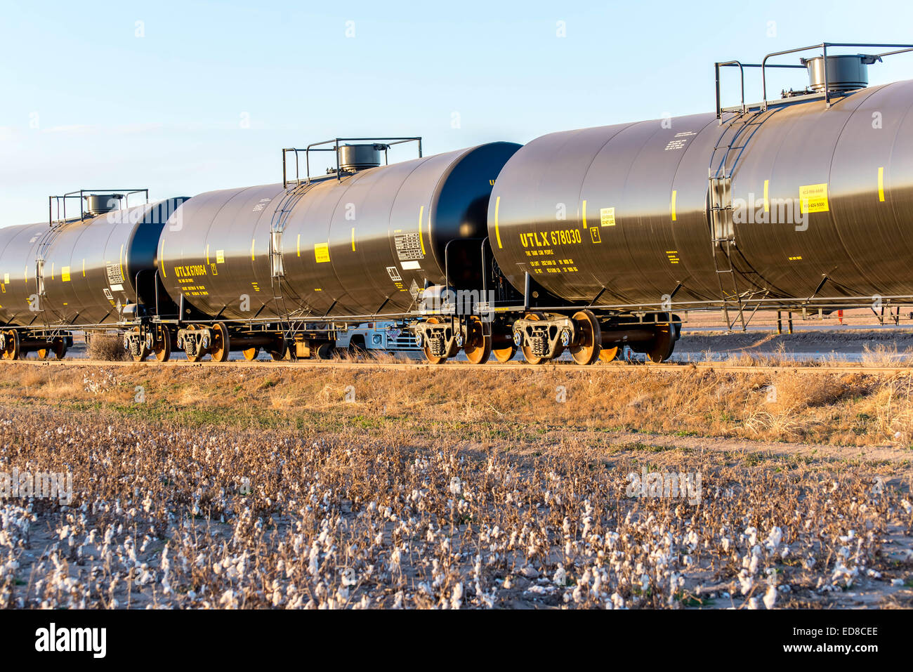 cotton field with oil tanker rail car in background Stock Photo Alamy