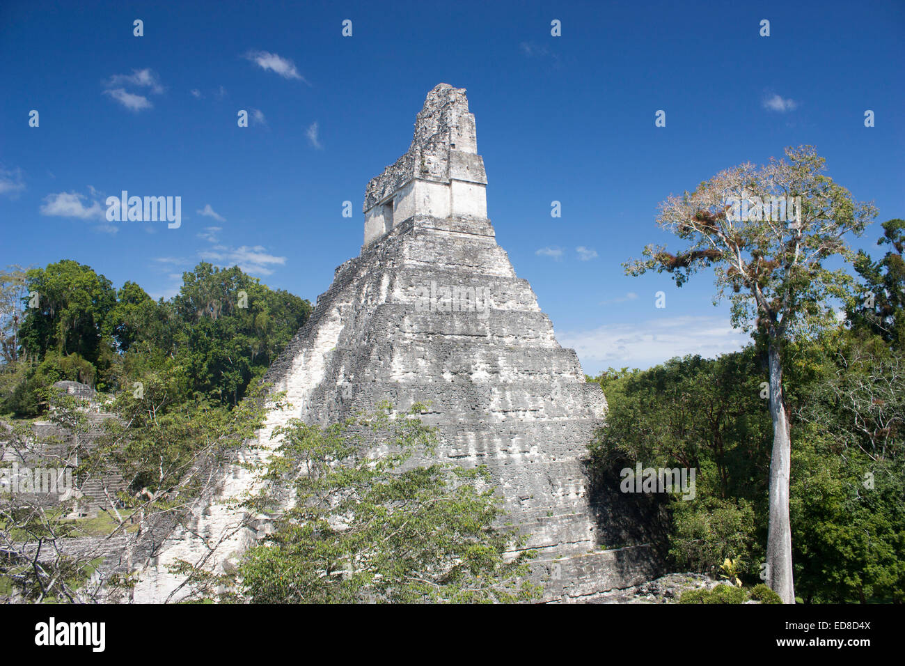 Guatemala, Peten Province, Tikal National Park, Temple I Stock Photo