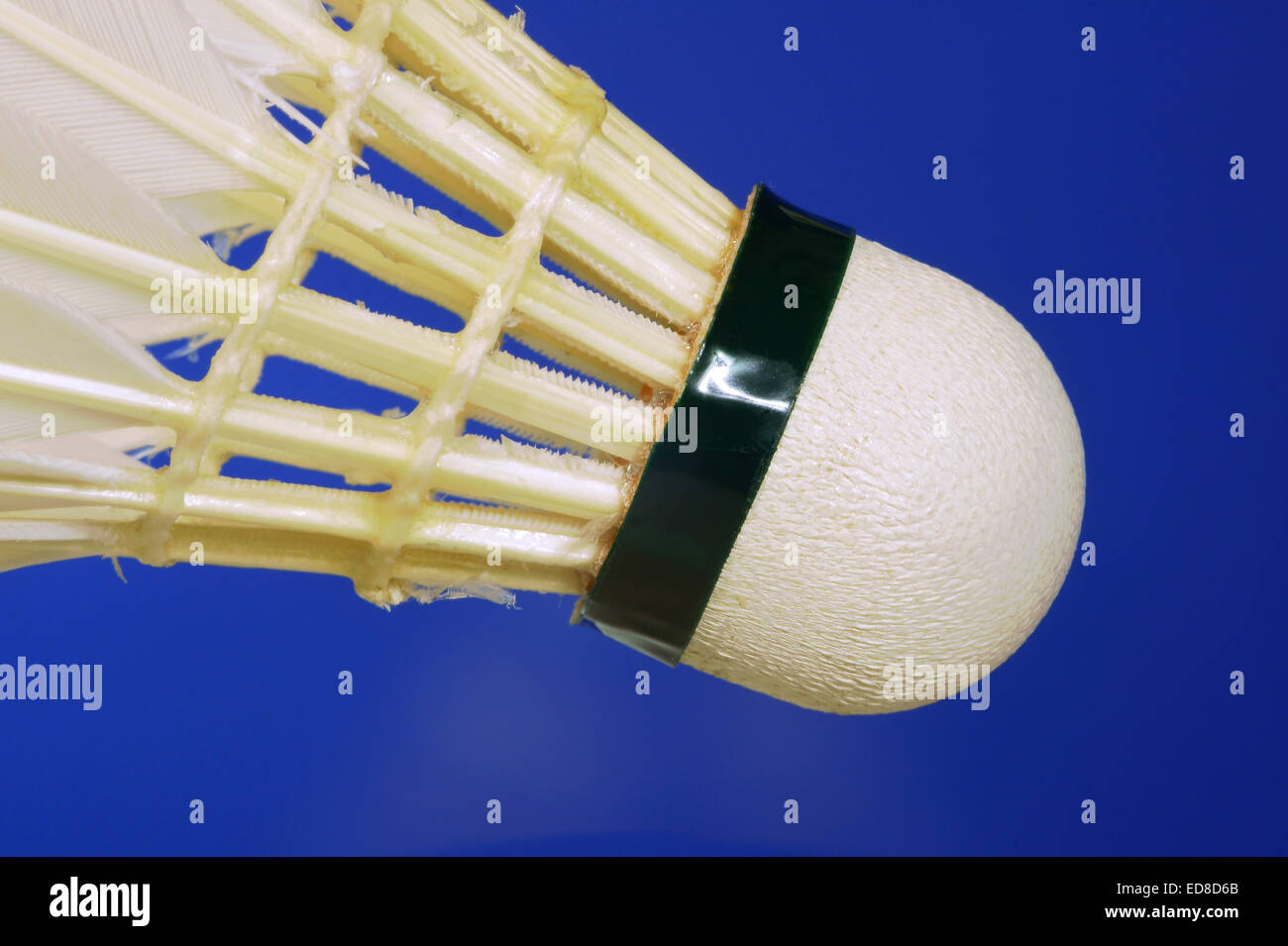 Shuttlecocks with feathers for badminton Stock Photo Alamy