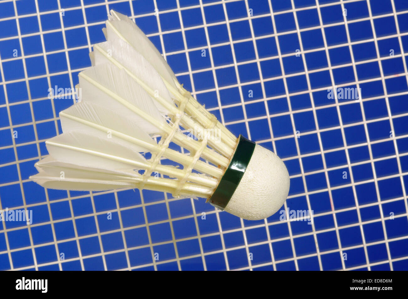 Badminton Racket and shuttlecocks with feathers Stock Photo Alamy