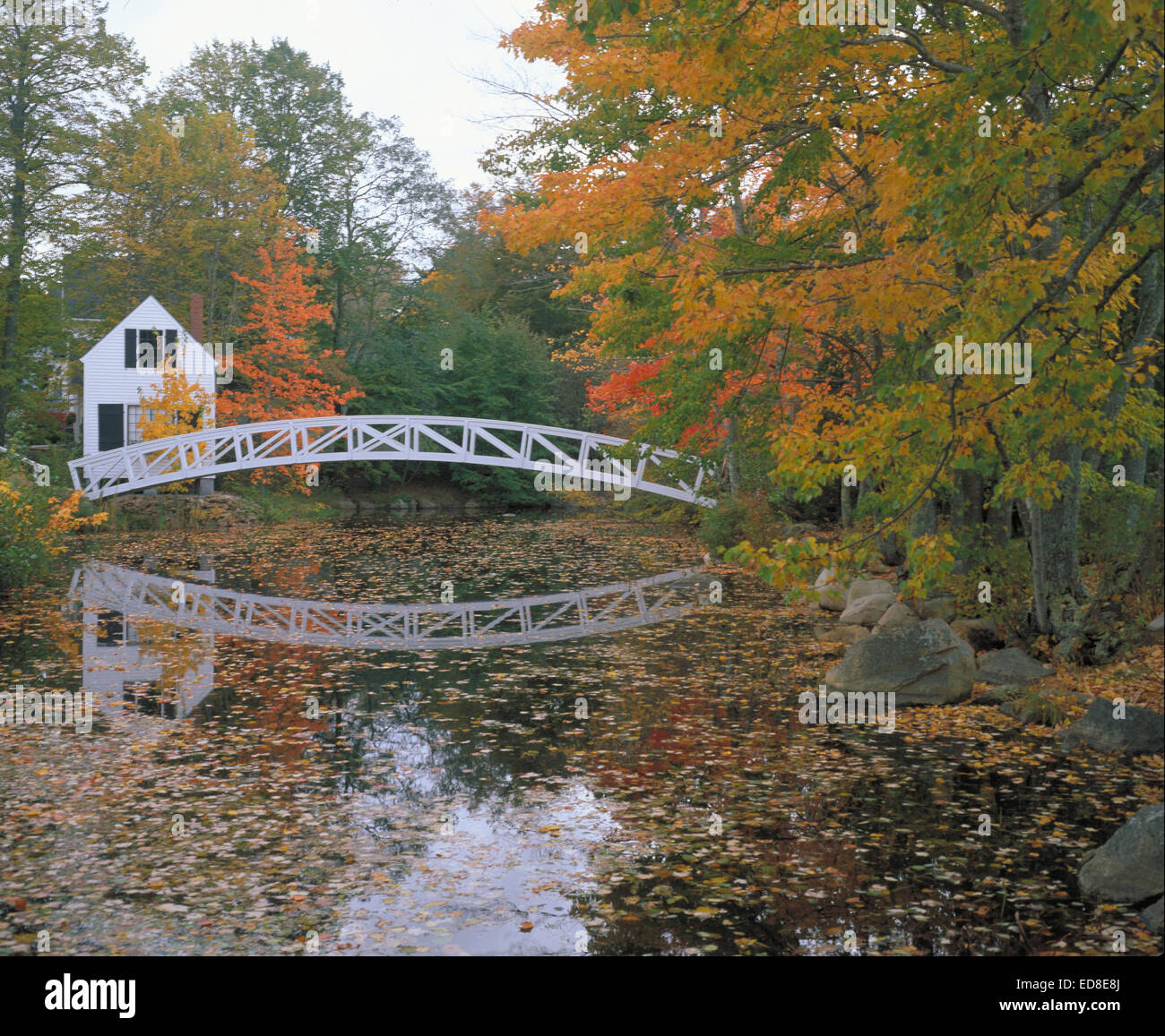 Mirror image of bridge over pond in Somesville, Maine in Fall with leaves on the trees in full color. Stock Photo