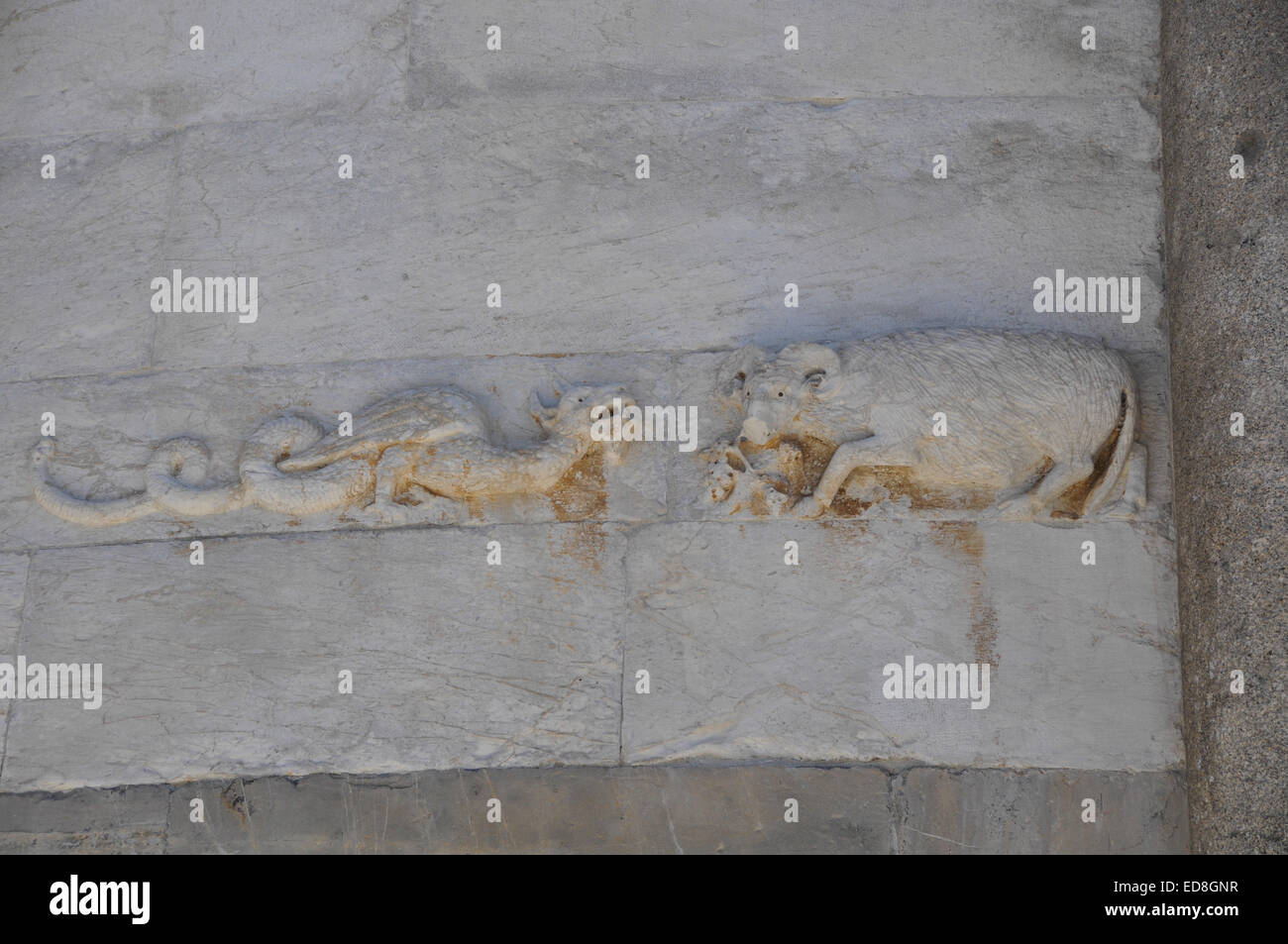 Detail from near the bottom of the wall of the Leaning Tower of Pisa, Italy - a dragon and ram Stock Photo