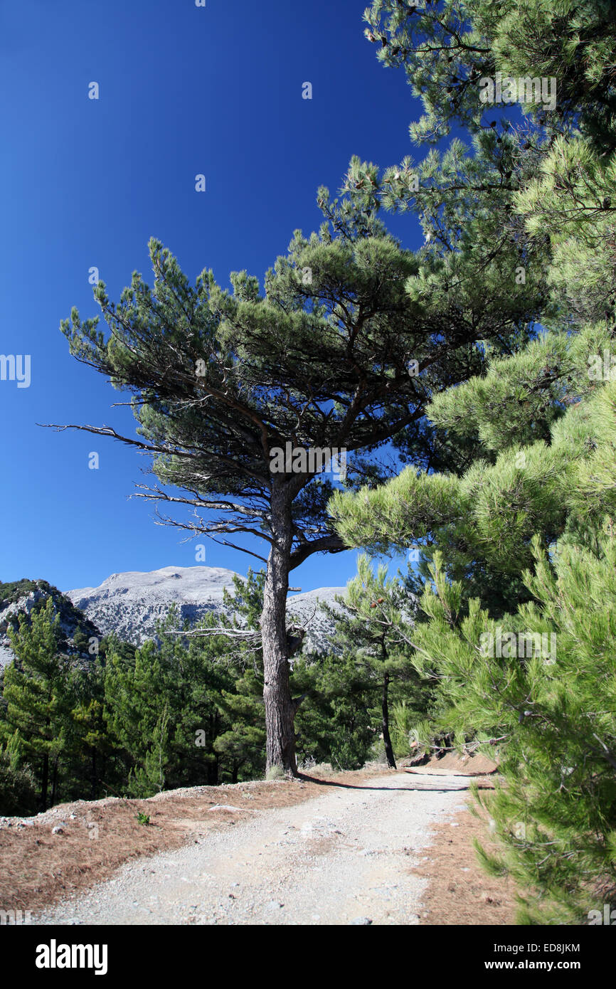 A wild and rugged mountainous scene on a remote Cretan mountainside in winter Stock Photo