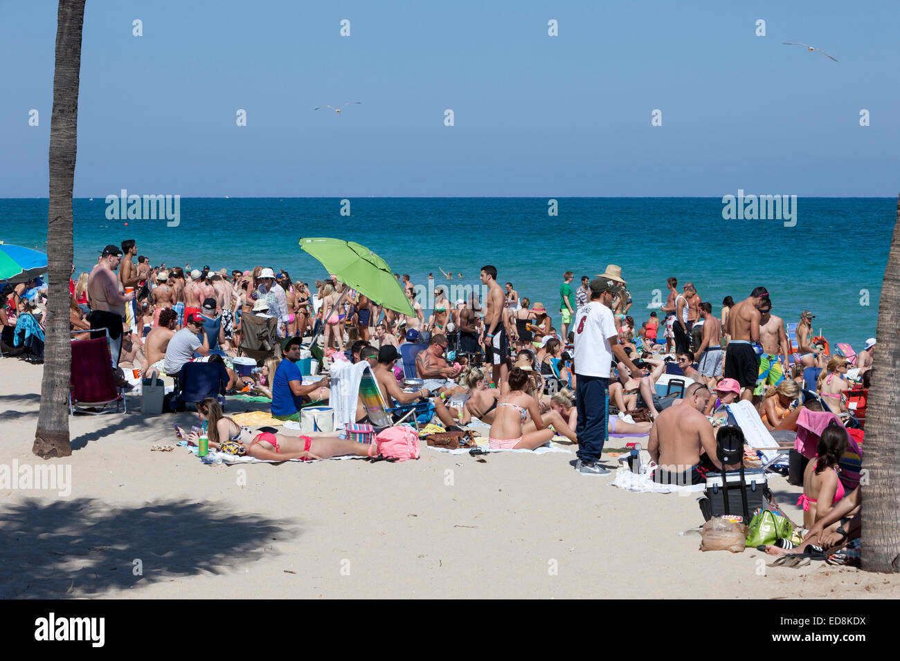 Ft. Lauderdale, Florida.  Spring Break on the Beach. Stock Photo