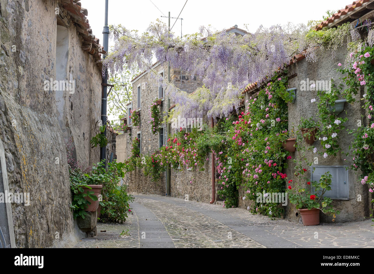 Narrow street of flowers in a small town in Sardinia Stock Photo