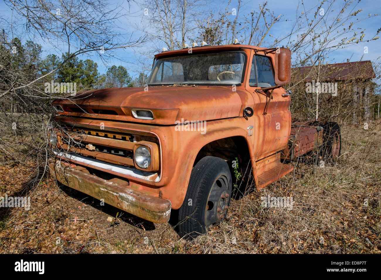 Abandoned 1960s vintage Chevy C10 truck in a rural Alabama field, USA. Stock Photo