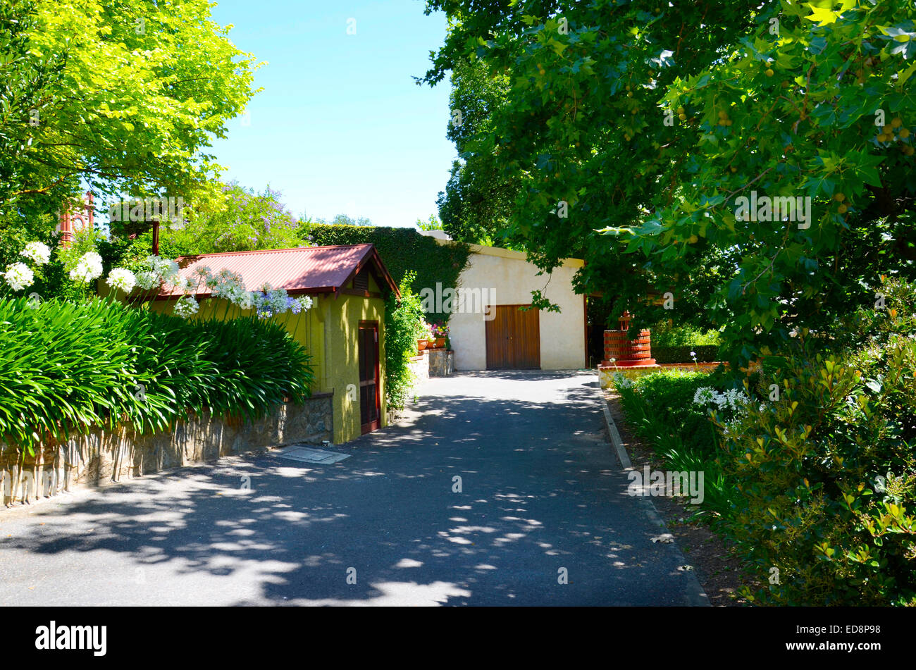 Australian premier wine maker, Yalumba estate at Barossa Valley South Australia. Stock Photo