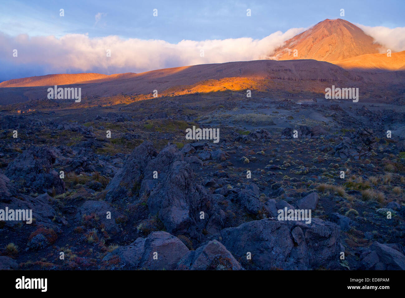 First light on Mt Ngauruhoe in Tongariro National Park Stock Photo