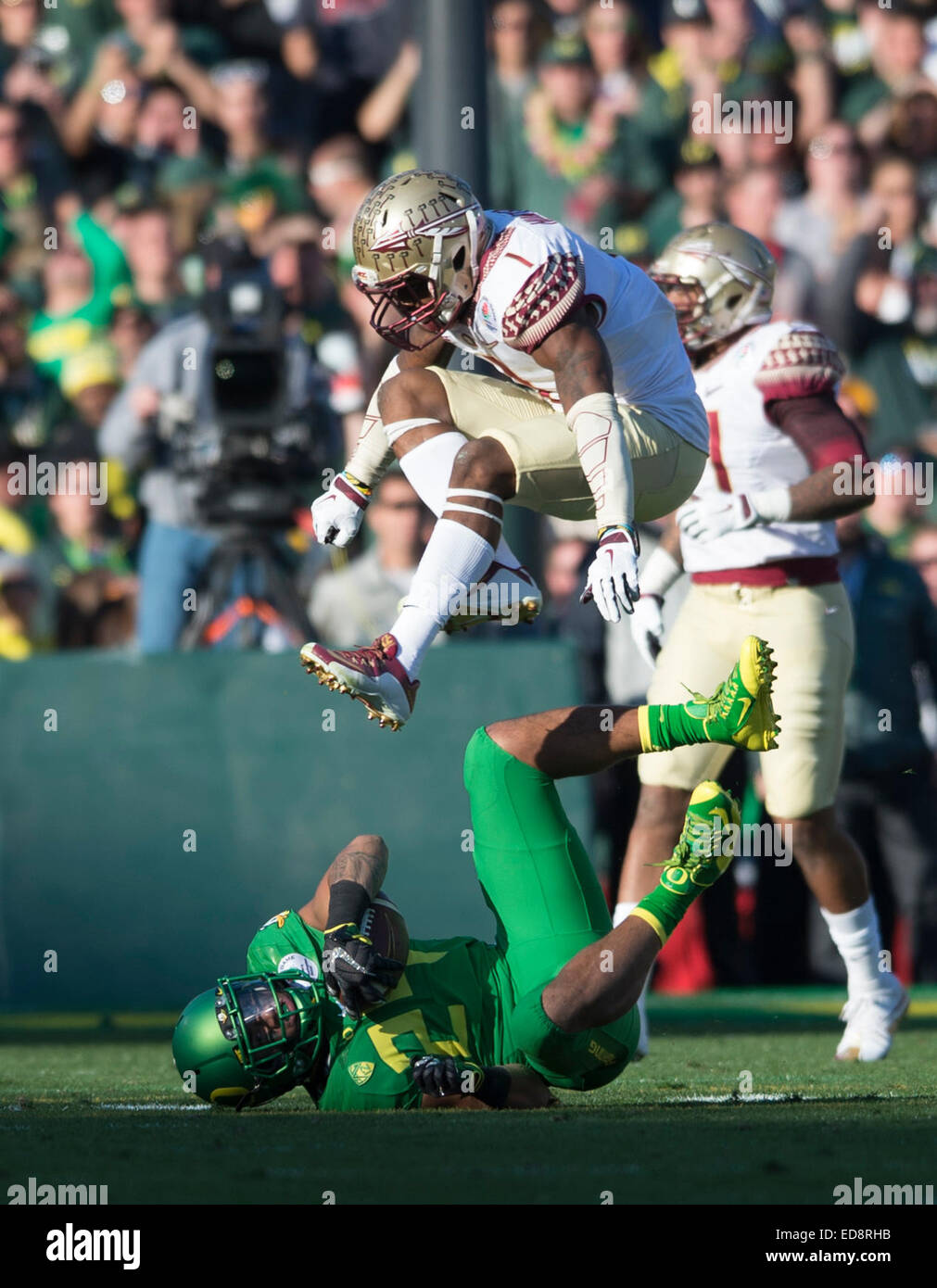 Los Angeles, USA. 1st Jan, 2015. Stephen Amoako (bottom) of Oregon Ducks falls during the 2015 Rose Bowl college football game against the Florida State Seminoles at Rose Bowl in Los Angeles, the United States, Jan. 1, 2015. Oregon Ducks won the game 59-20. Credit:  Yang Lei/Xinhua/Alamy Live News Stock Photo