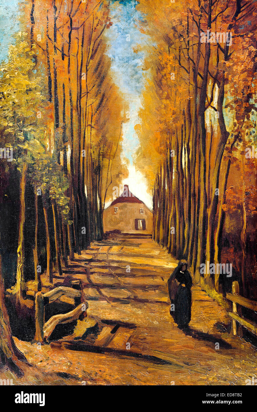 Vincent van Gogh, Avenue of Poplars in Autumn 1884 Oil on canvas. Van Gogh Museum, Amsterdam, Netherlands. Stock Photo