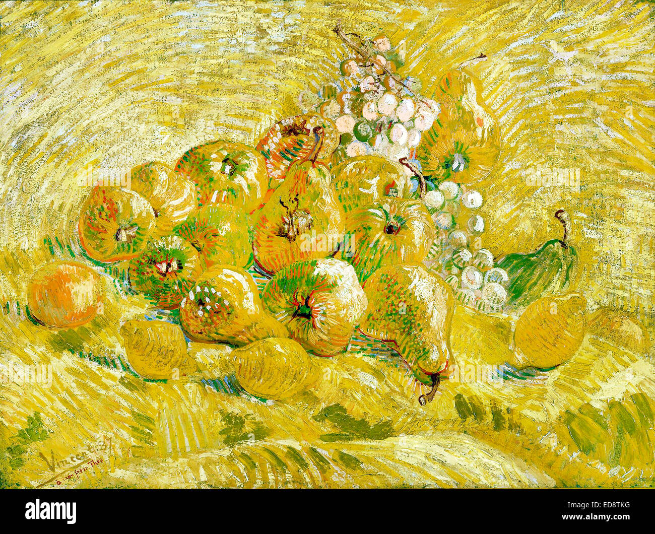 Quinces lemons pears and grapes vincent van gogh hires stock
