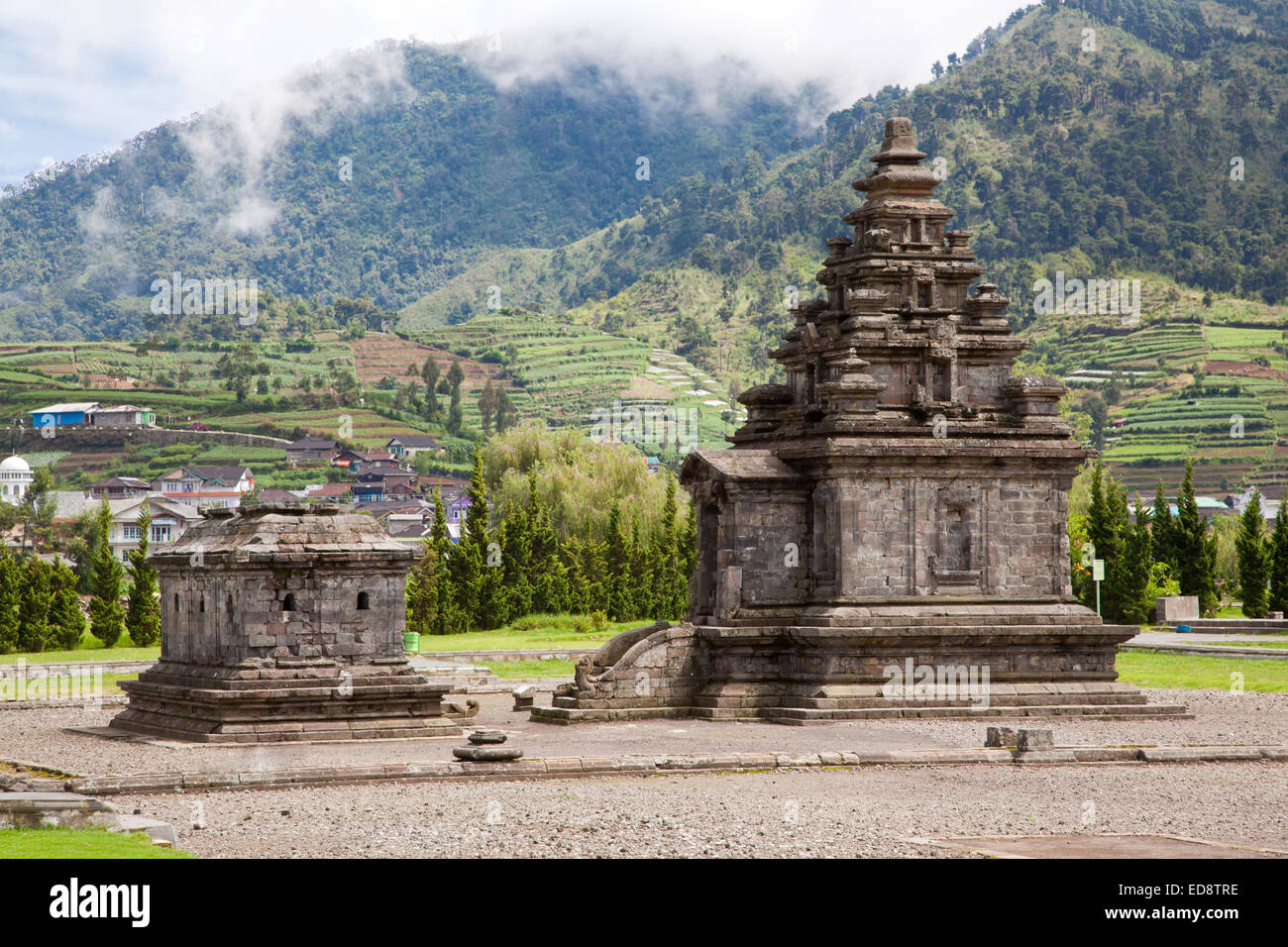 Dieng temple Arjuna  complex plateau National Park Wonosobo Central Java Indonesia. Stock Photo