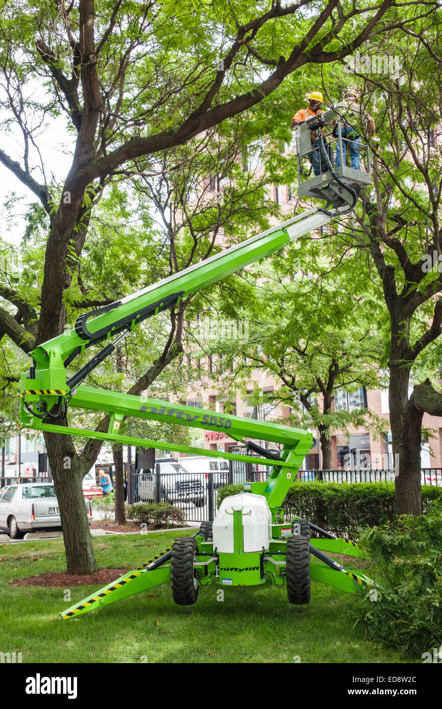 Chicago Illinois,Gold Coast Historic District,neighborhood,park,tree,landscaping,cherry picker,Niftylift,trailer mounted,bucket lift,trimmer,trimming, Stock Photo