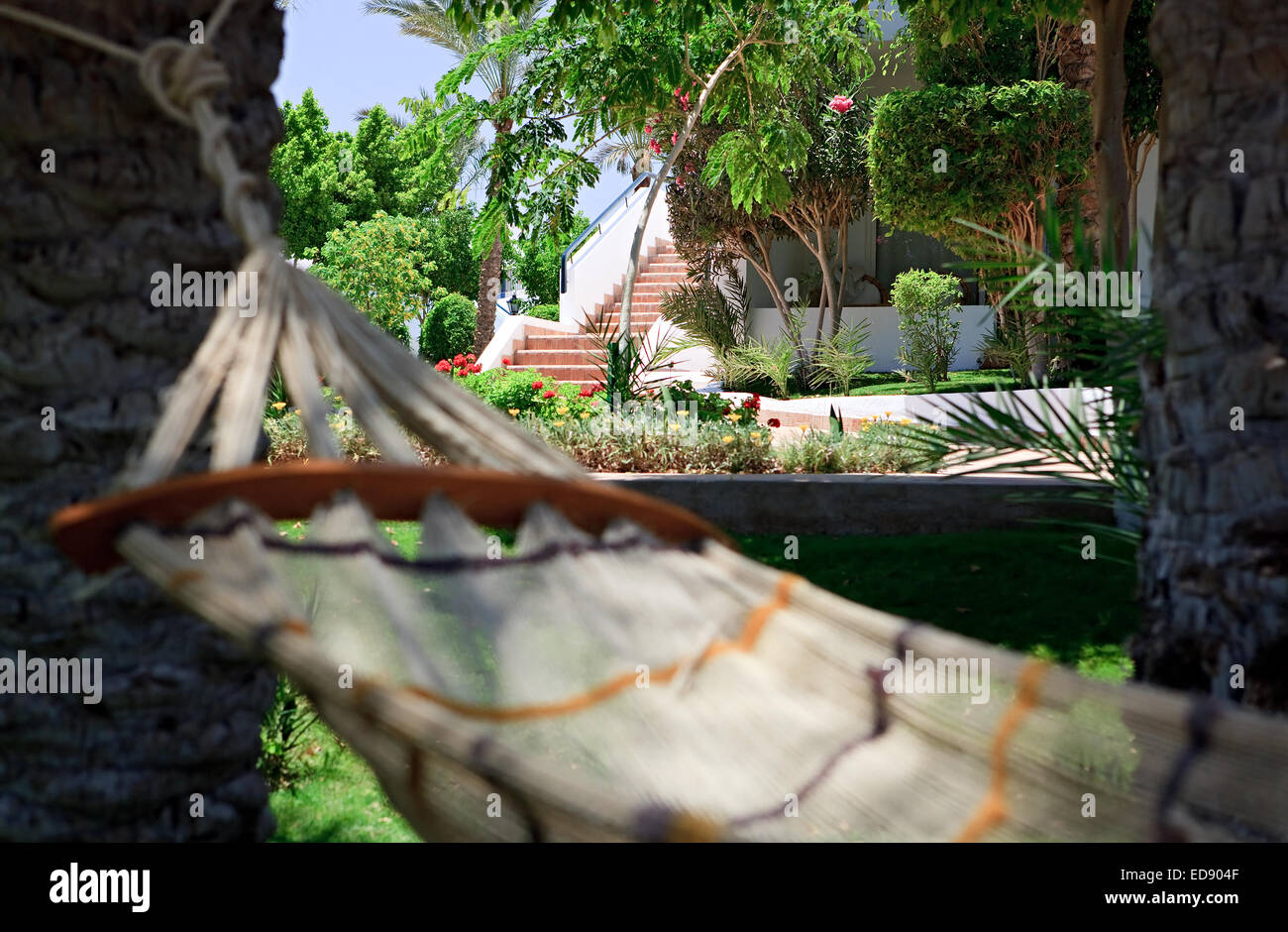 Hammock at the hotel Stock Photo Alamy