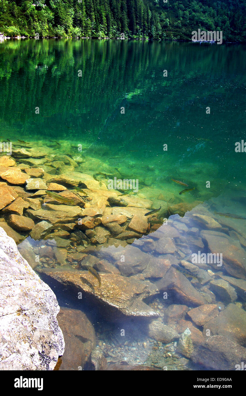 Beautiful clear water in a mountain lake Stock Photo - Alamy