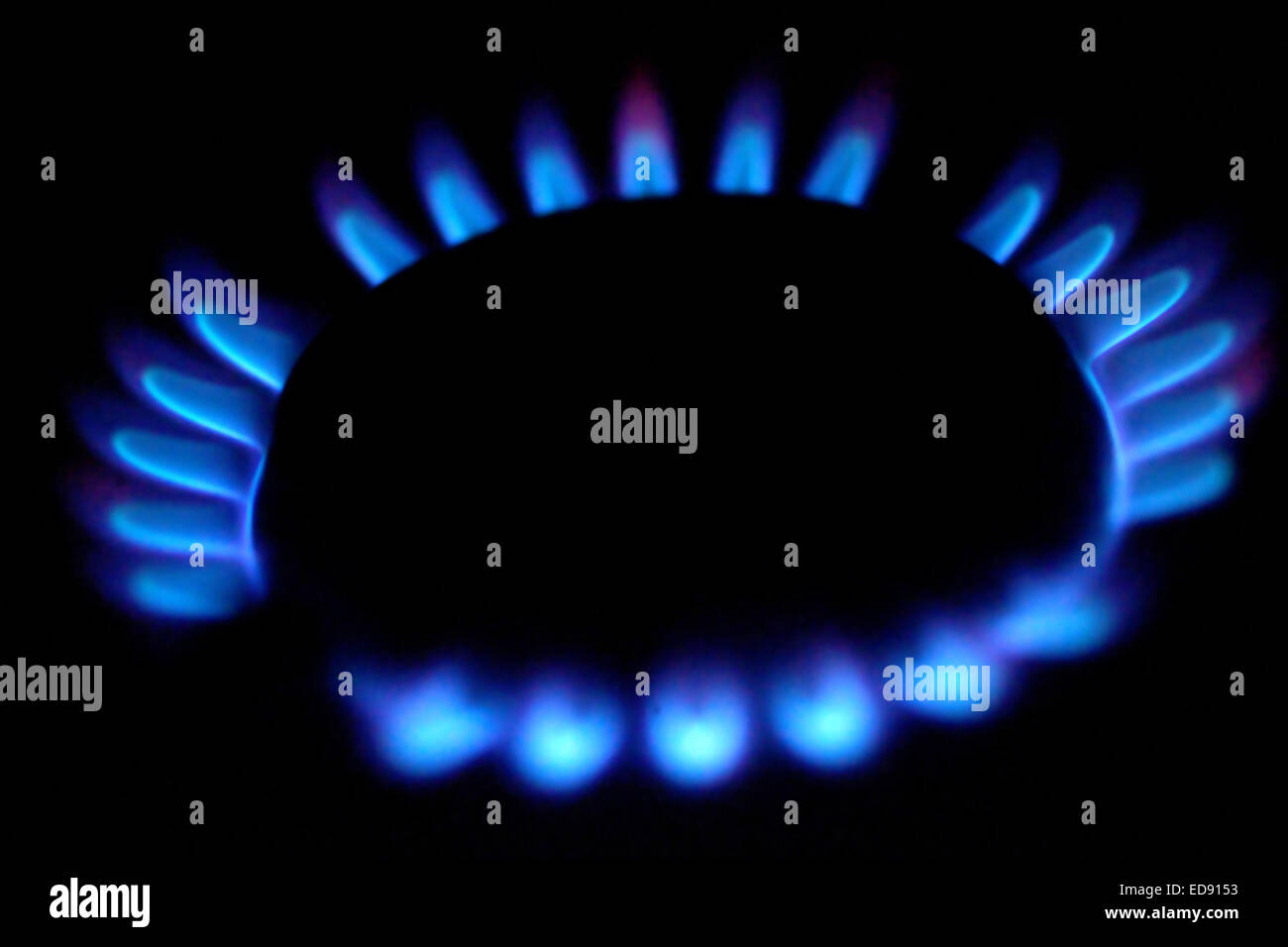 Burning gas ring Stock Photo Alamy