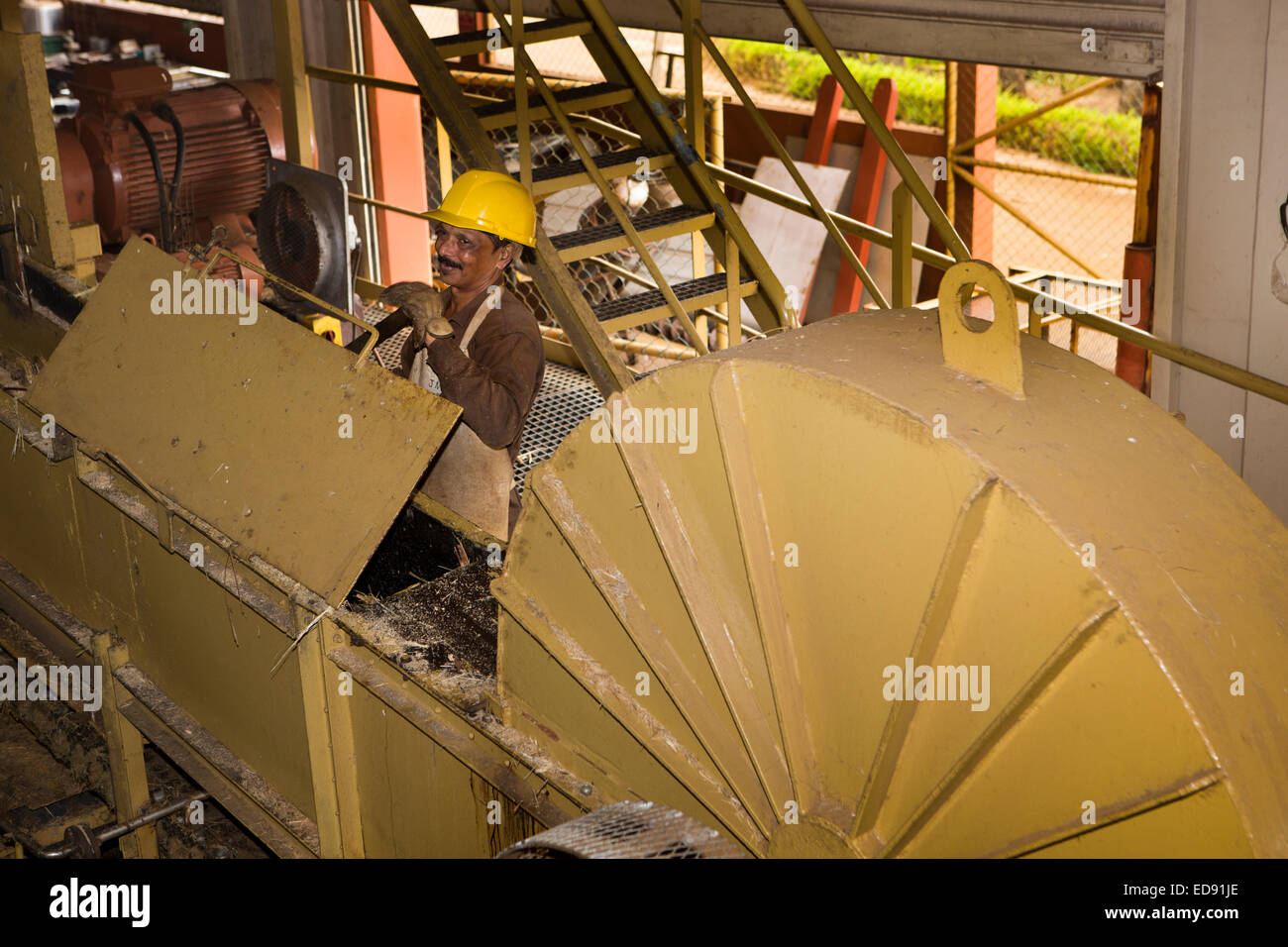 Mauritius, Chamarel, Rum, rhumerie factory tour, sugar cane being processed, worker operating cutting machine Stock Photo