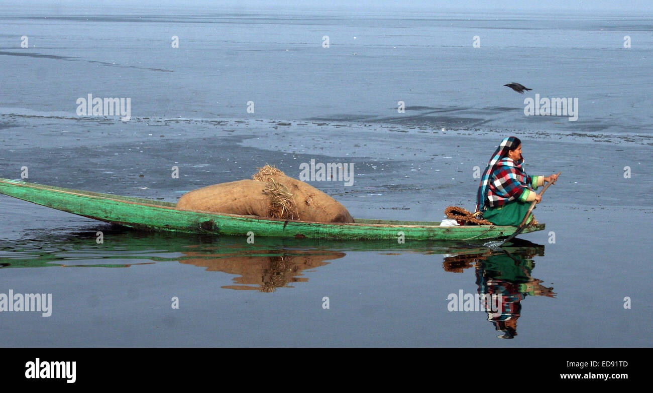 Srinagar, Indian Administered Kashmir: 02 January 2015 A Kashmirs ...