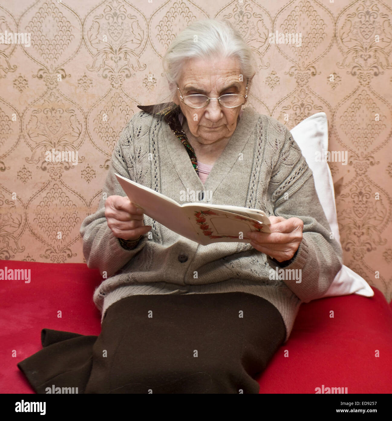 Old lady (European) sitting reading book at home Stock Photo - Alamy