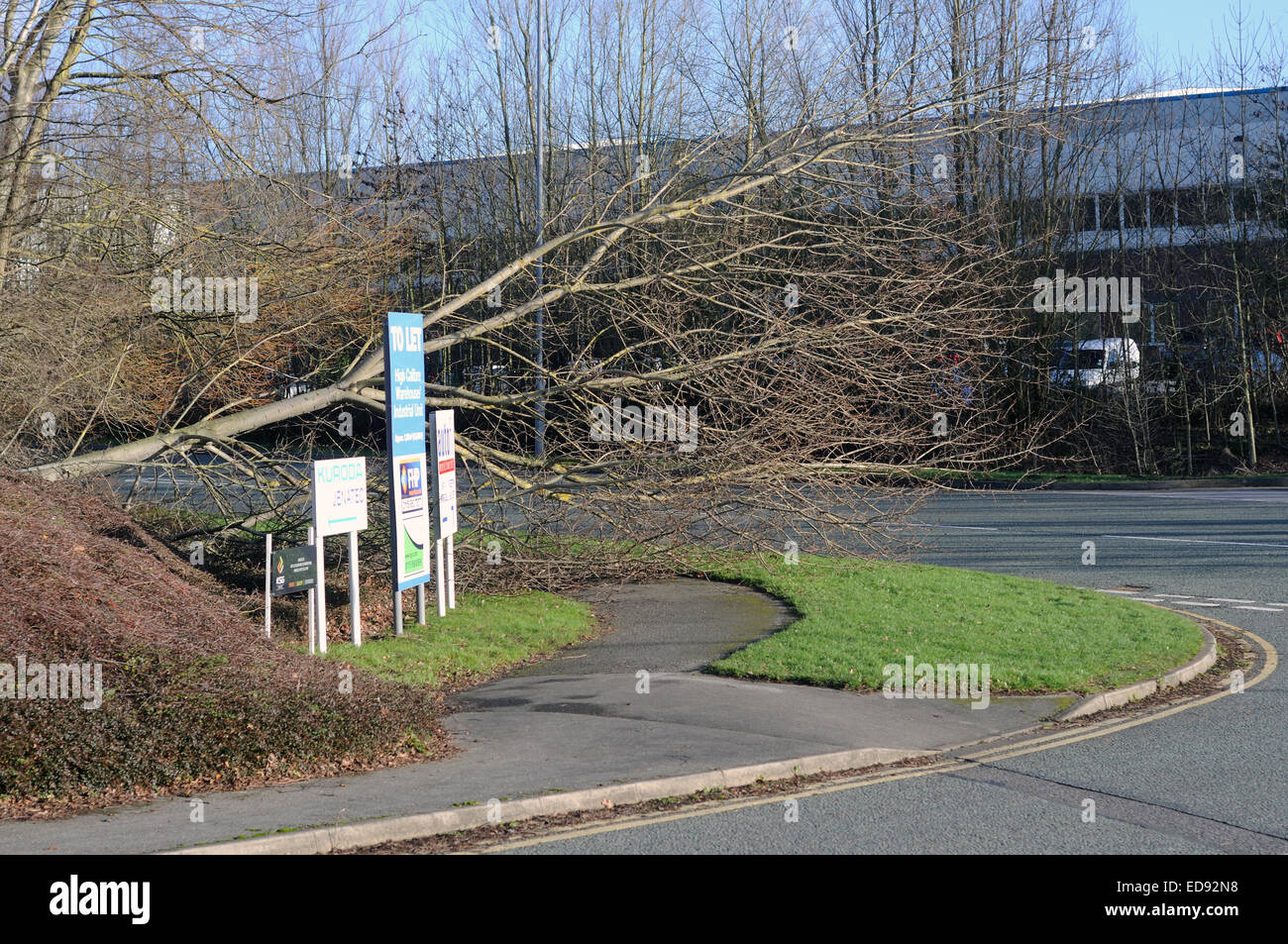 Annesley, Nottinghamshire, UK.  02nd January 2015. Overnight gale forces winds gusting between 50-70mph brought down many trees around the East Midlands .Annesley business park(Nottinghamshire) just of junction 27 of the M1 is littered with broken branches  and damaged trees . Credit:  IFIMAGE/Alamy Live News Stock Photo