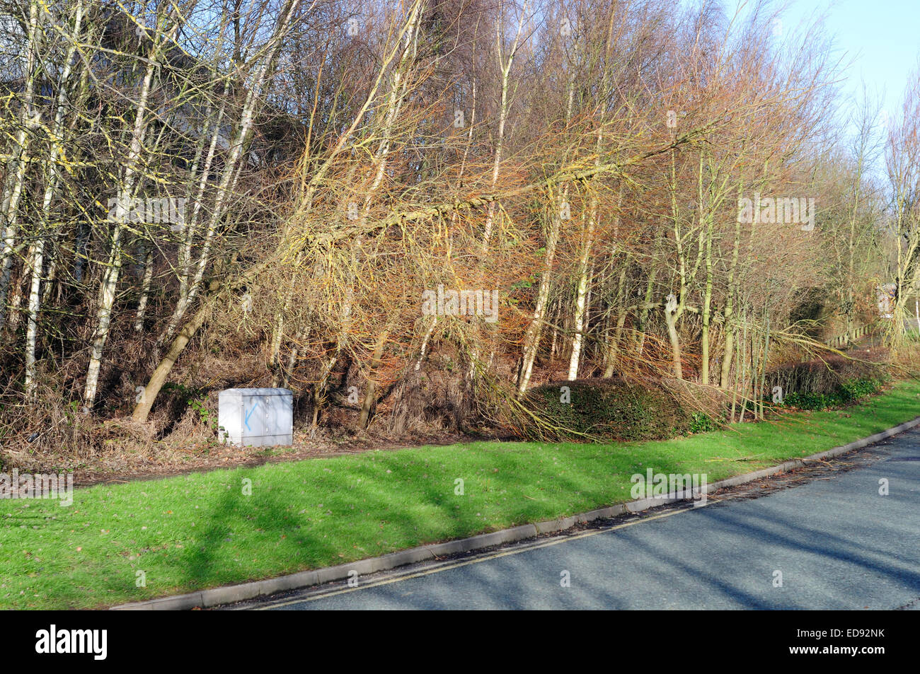 Annesley nottinghamshire hires stock photography and images Alamy