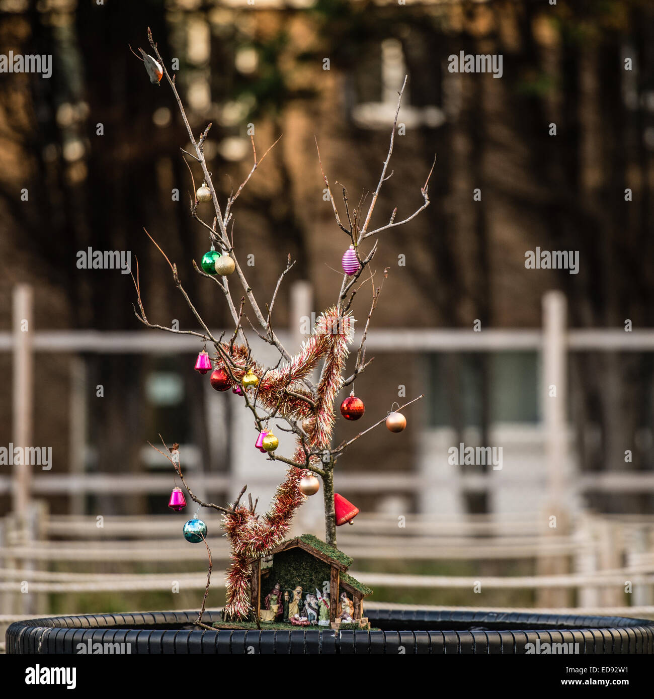 A Bare Branch Decorated As A Sad Meagre Pathetic Christmas Tree